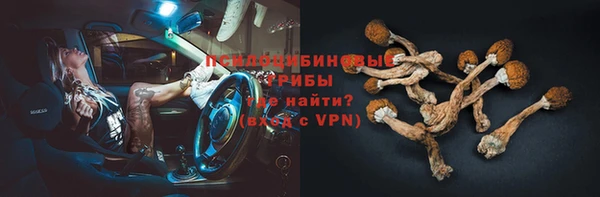 ешки Краснотурьинск