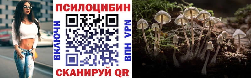 закладка  Кушва  кракен рабочий сайт  Псилоцибиновые грибы Cubensis 