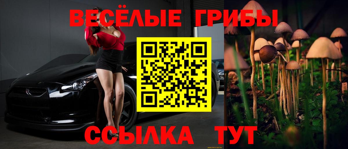 Псилоцибиновые грибы Psilocybine cubensis Кушва