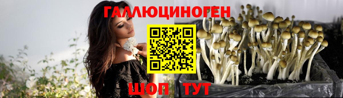 Галлюциногенные грибы Magic Shrooms  Вход с VPN  Псилоцибиновые грибы ЛСД  Кушва 